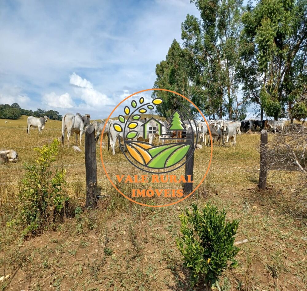 Fazenda, 143 m² - Foto 4