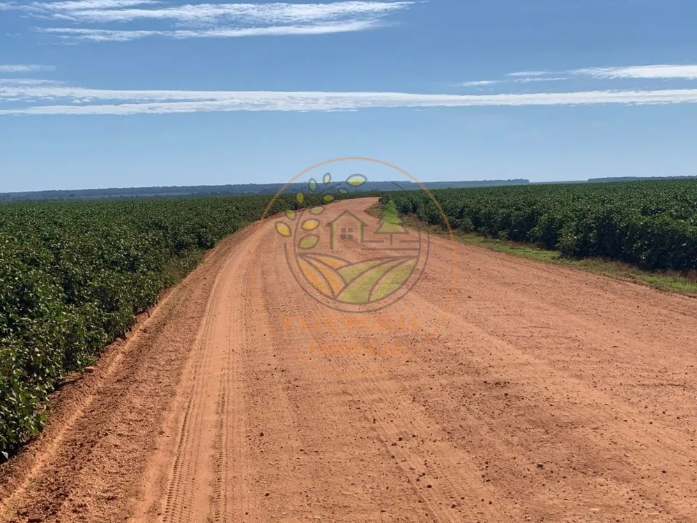 Fazenda, 5 quartos - Foto 4