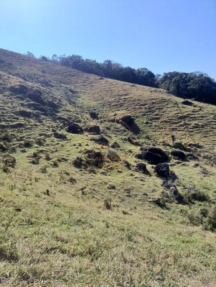 Fazenda - Foto 11