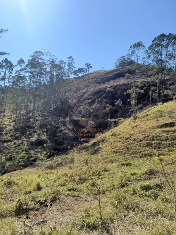 Fazenda - Foto 1