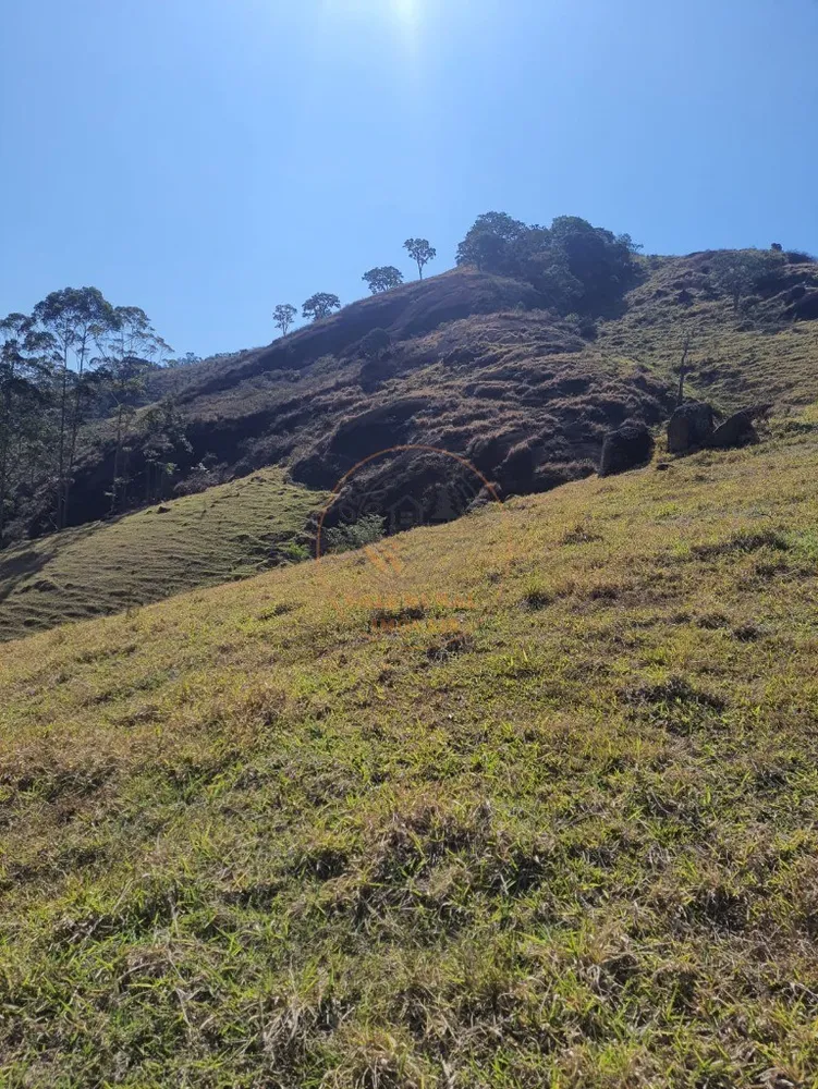 Fazenda - Foto 7