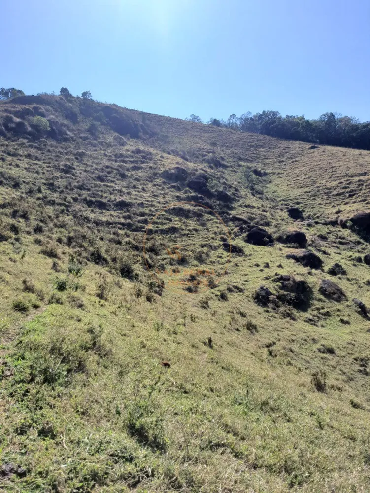 Fazenda - Foto 6