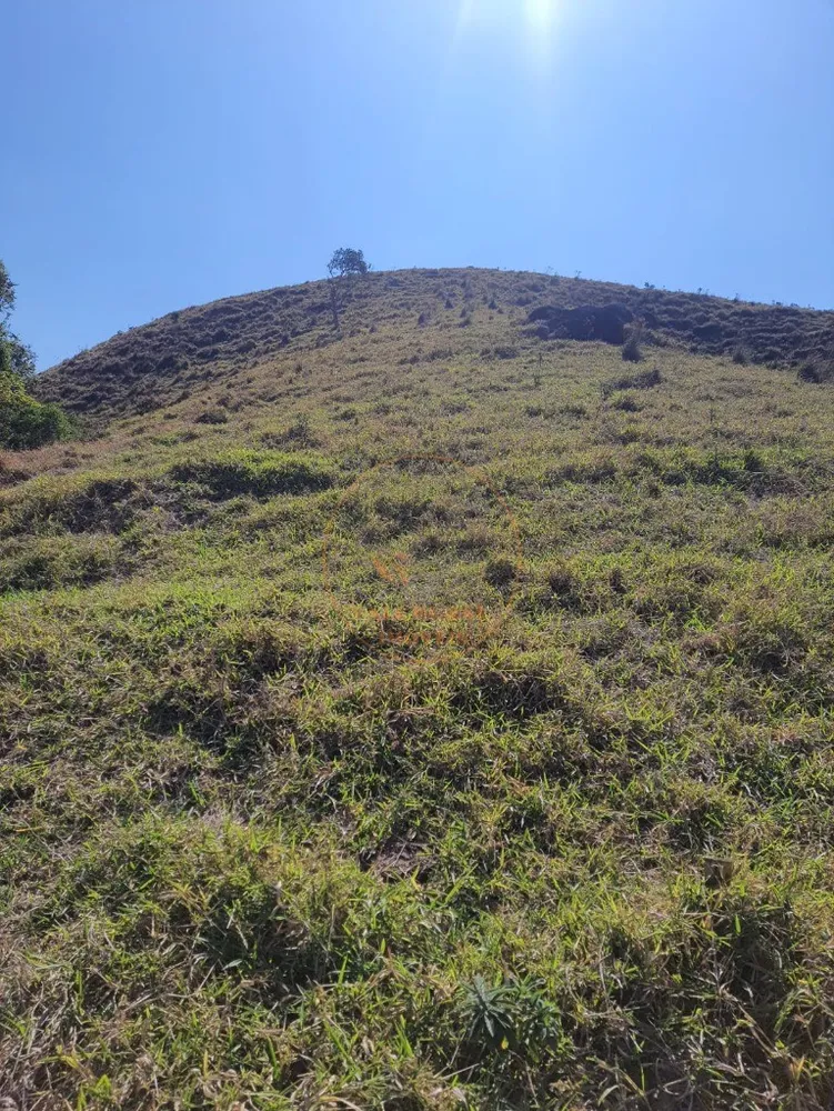 Fazenda - Foto 12