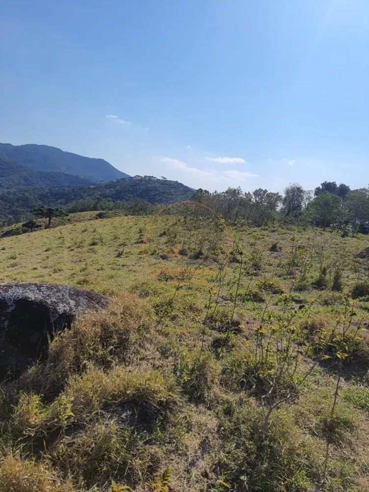 Fazenda - Foto 4