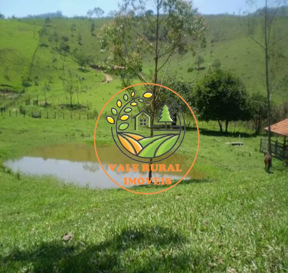 Chácara, 2 quartos, 3 hectares - Foto 8