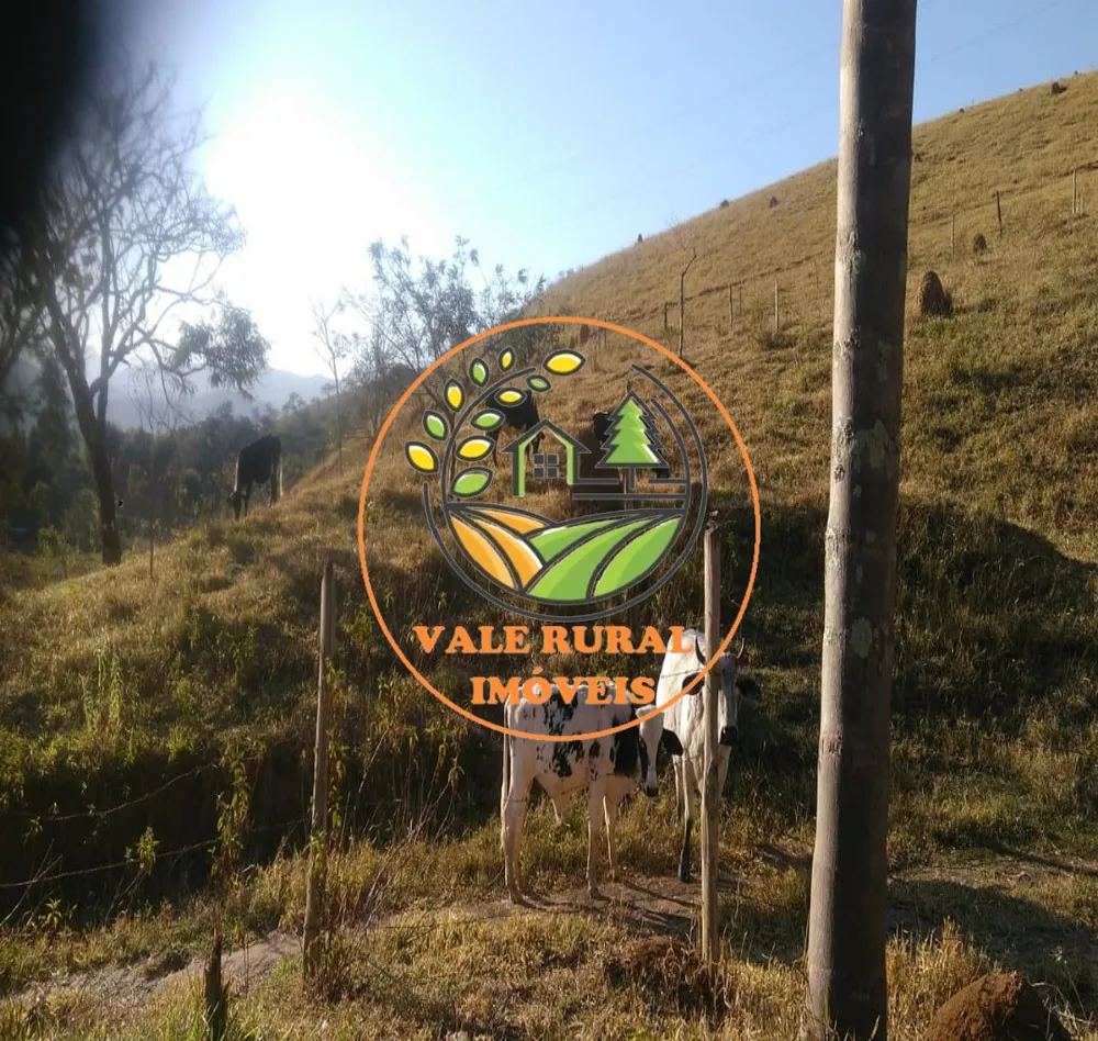 Chácara, 2 quartos, 3 hectares - Foto 7