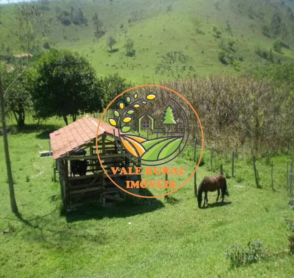 Chácara, 2 quartos, 3 hectares - Foto 4
