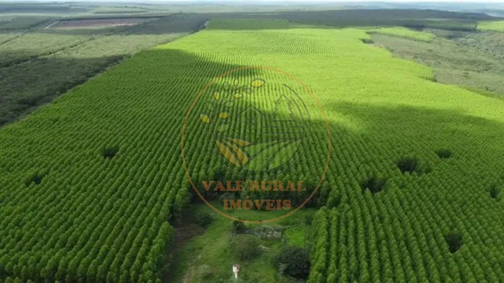Fazenda, 4 quartos - Foto 10