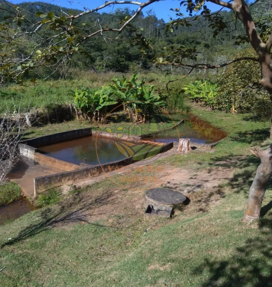 Chácara, 4 quartos, 3000 m² - Foto 7
