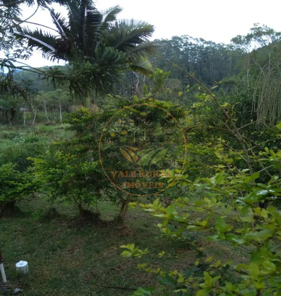 Chácara, 4 quartos, 3000 m² - Foto 4
