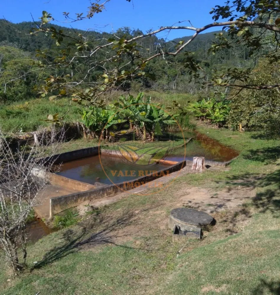 Chácara, 4 quartos, 3000 m² - Foto 6