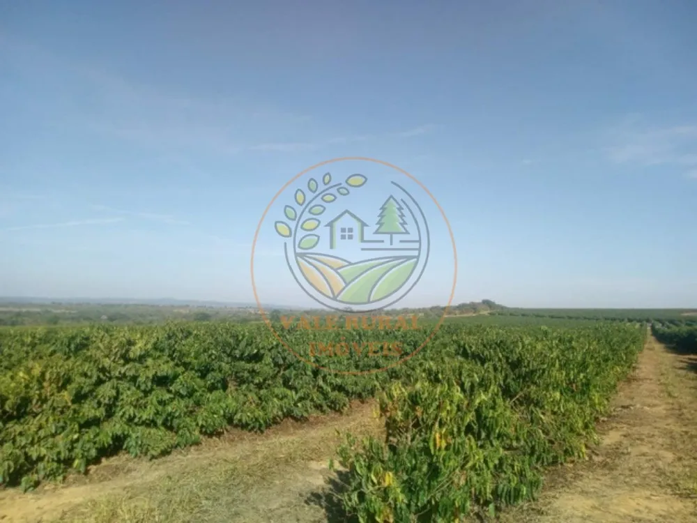 Fazenda - Foto 4