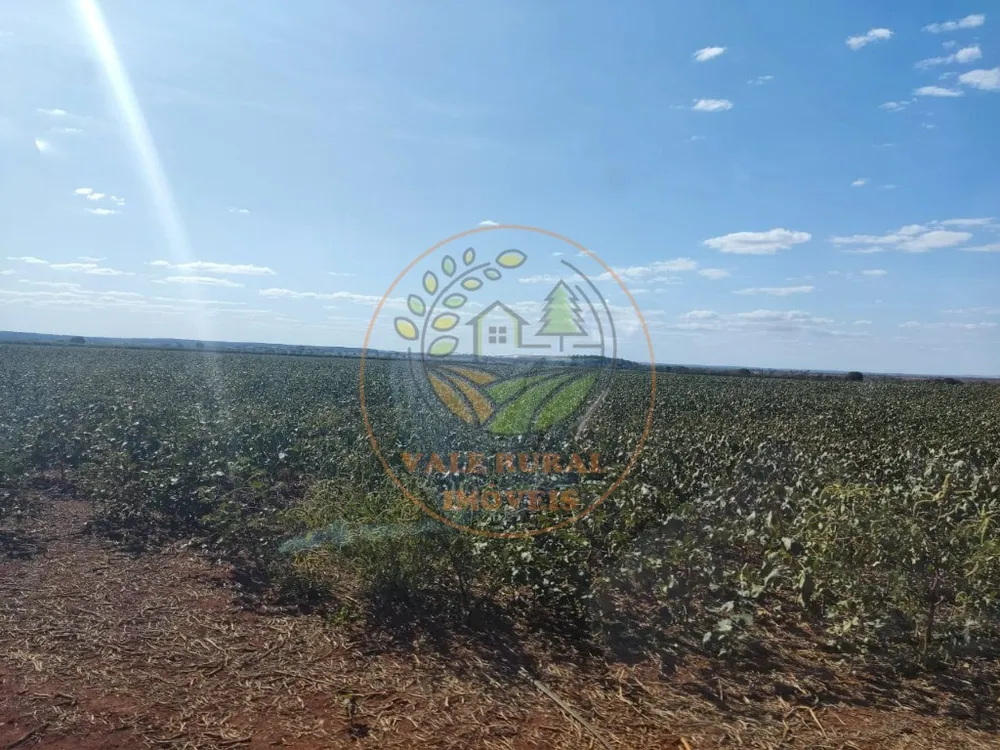 Fazenda - Foto 1