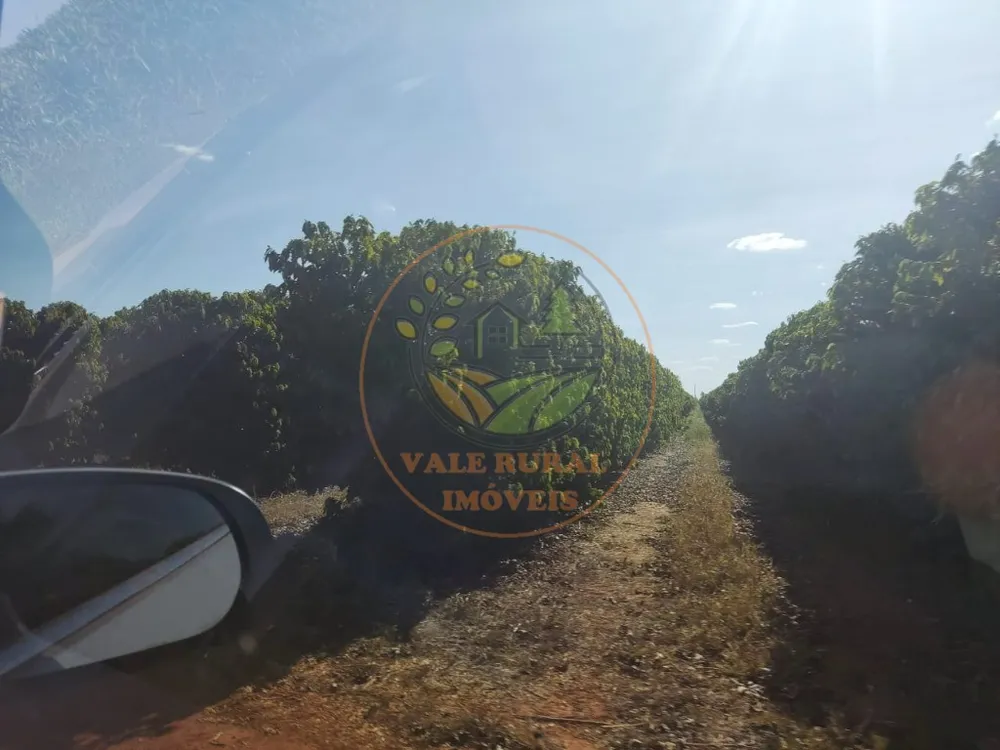 Fazenda - Foto 10