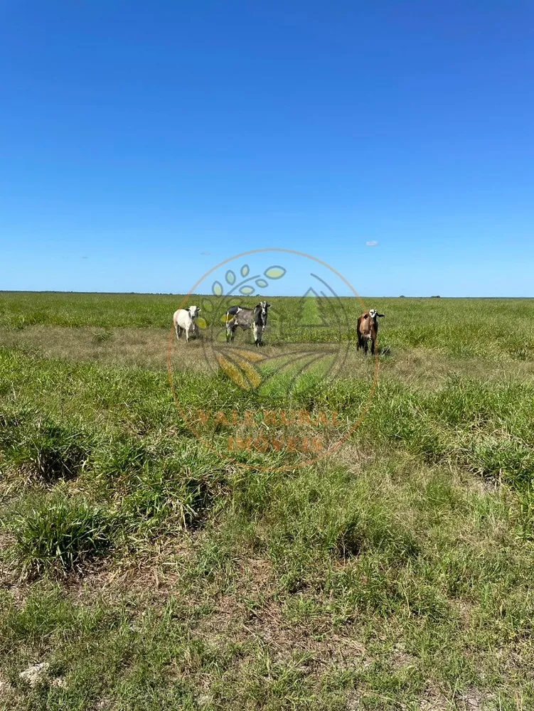 Fazenda - Foto 3