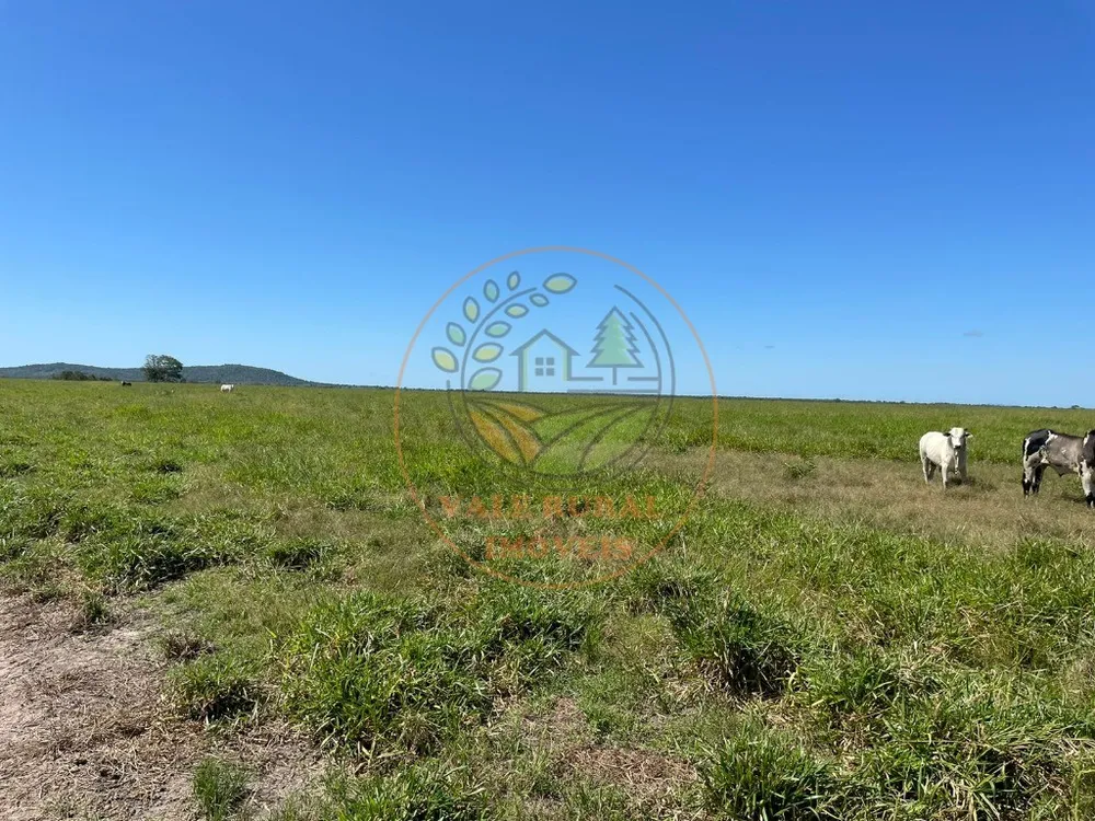 Fazenda - Foto 1