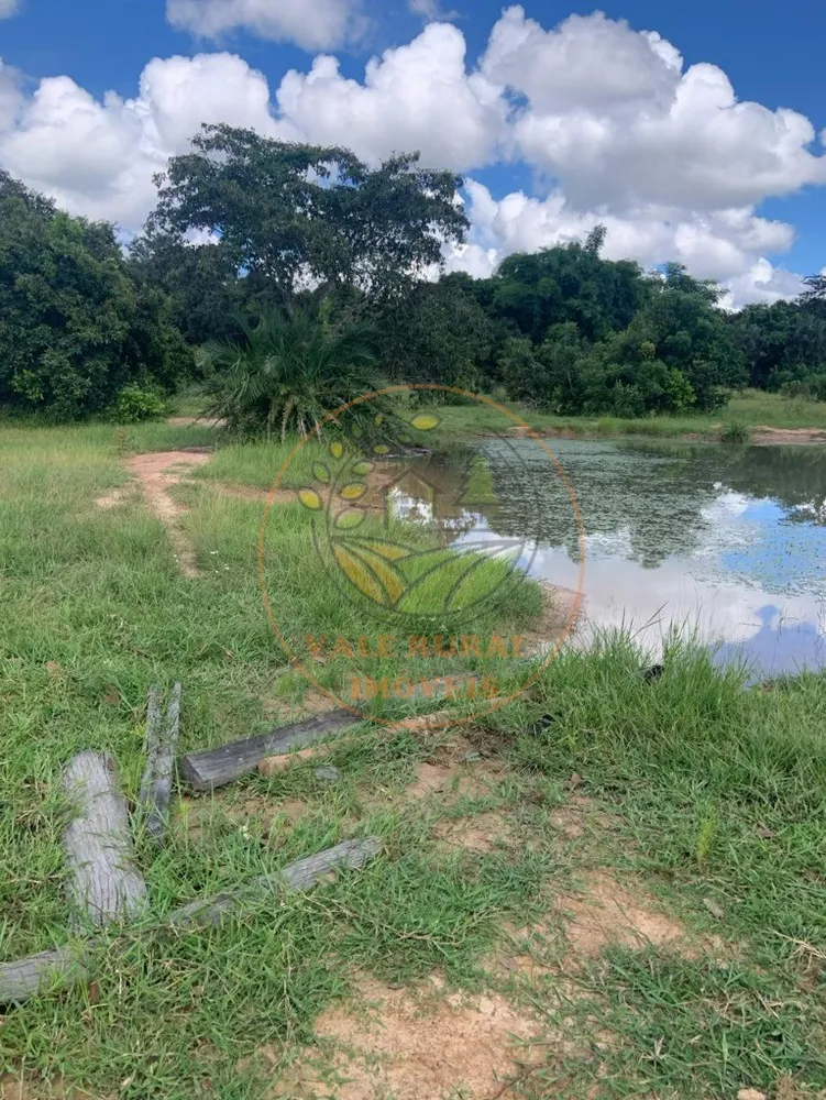 Fazenda - Foto 10