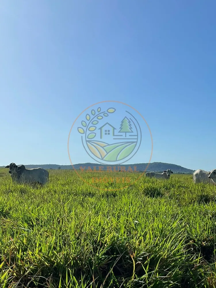 Fazenda - Foto 6