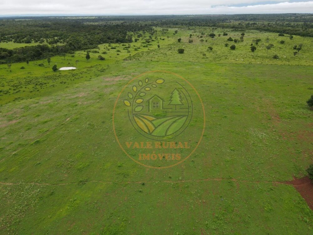 Fazenda - Foto 4