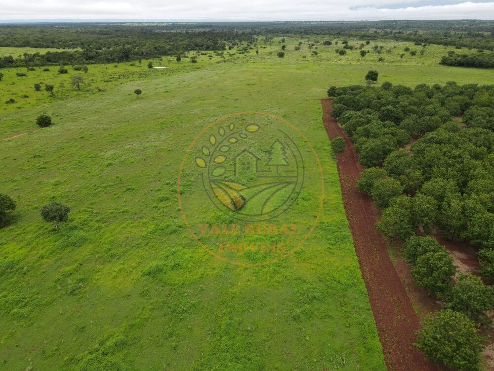 Fazenda - Foto 2