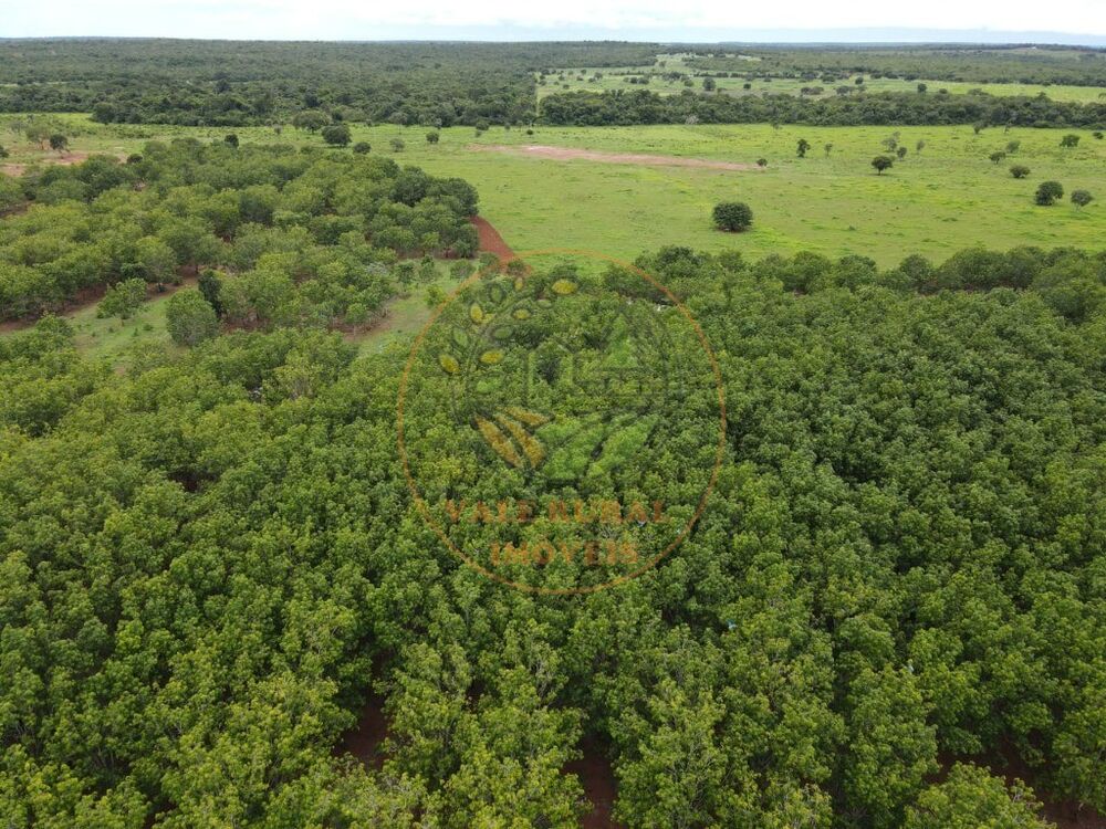 Fazenda - Foto 1