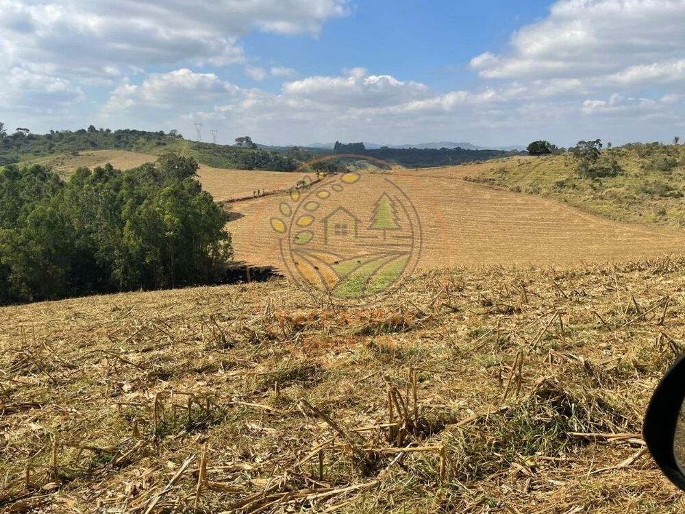 Fazenda à venda com 2 quartos - Foto 1