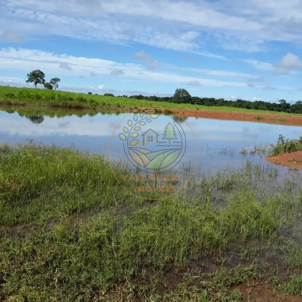 Fazenda - Foto 1