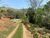 Chácara, 3 quartos, 1 hectares - Foto 8