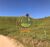 Fazenda, 16 hectares - Foto 3