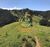 Fazenda, 16 hectares - Foto 1