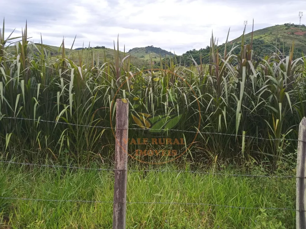 Fazenda, 3 quartos - Foto 5