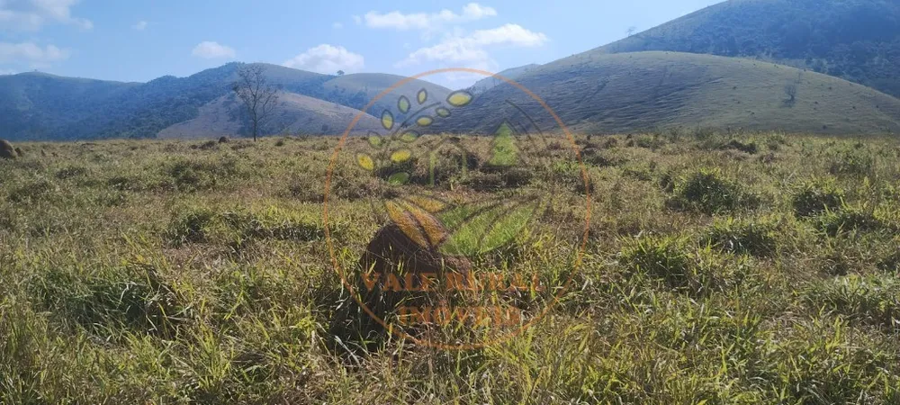 Fazenda - Foto 4
