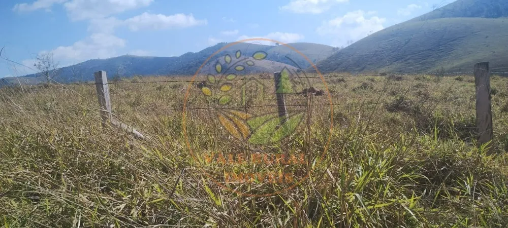 Fazenda - Foto 6