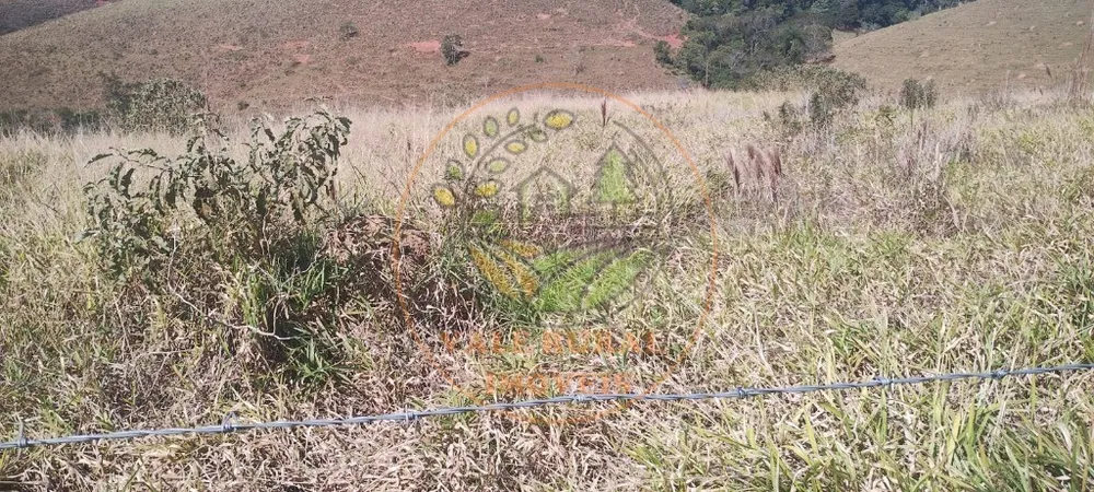 Fazenda - Foto 7