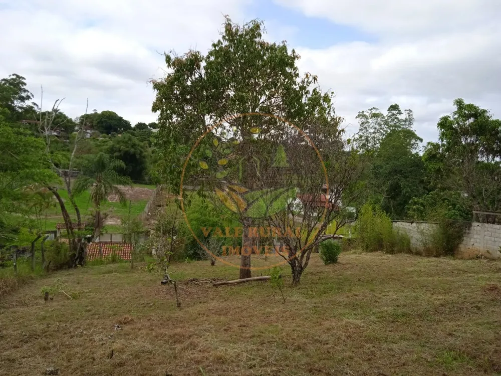 Chácara, 2 quartos, 1100 m² - Foto 10