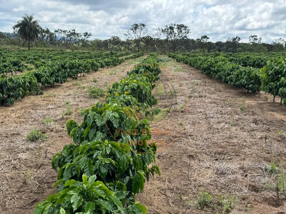 Fazenda, 4 quartos - Foto 12