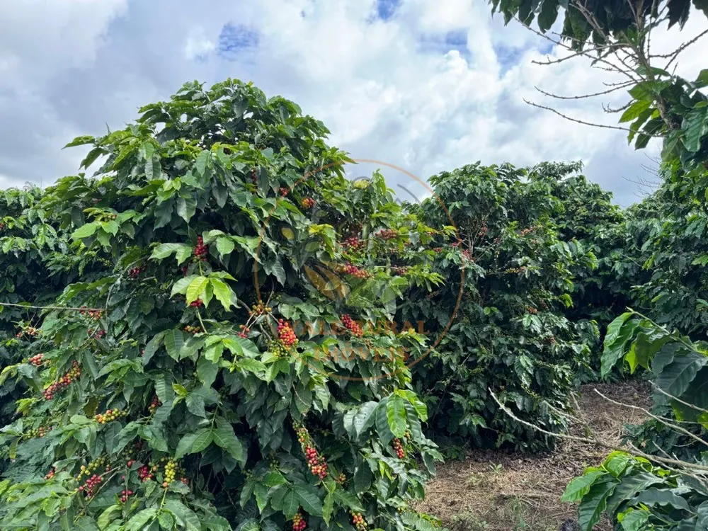 Fazenda, 4 quartos - Foto 9