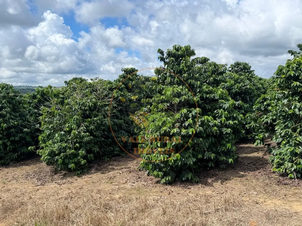 Fazenda, 4 quartos - Foto 10