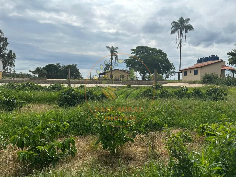 Fazenda, 4 quartos - Foto 6