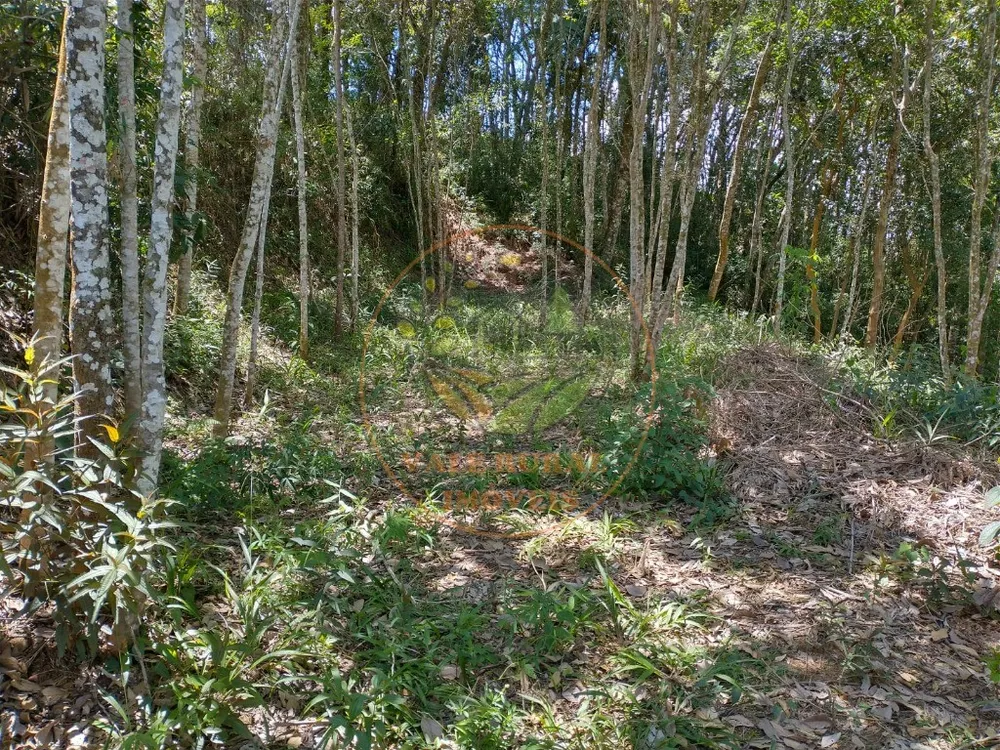 Fazenda - Foto 5