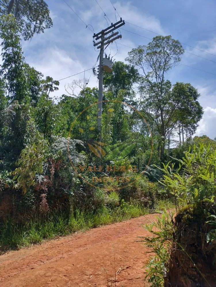 Fazenda - Foto 6