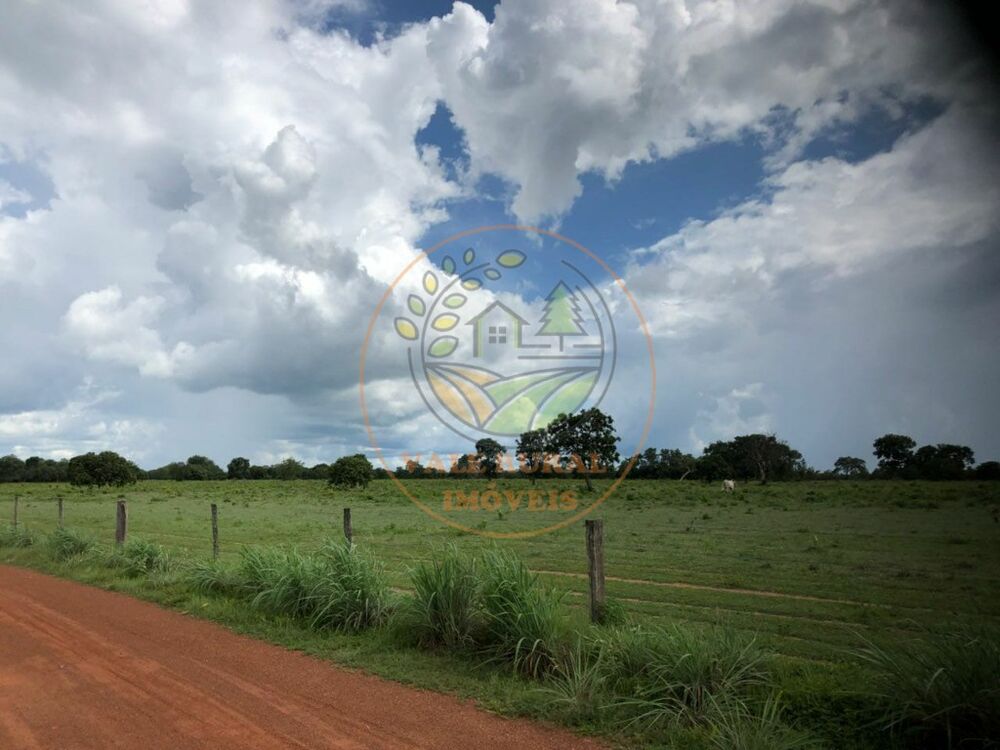 Fazenda à venda - Foto 4