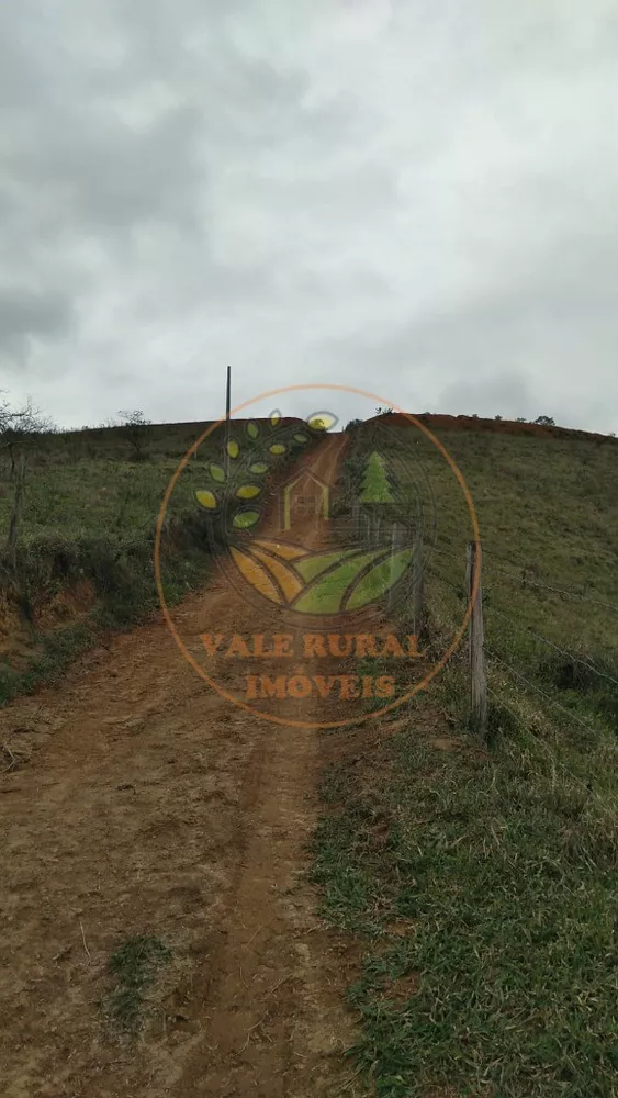 Haras e Área Rural Padrão à venda, 20000m² - Foto 3