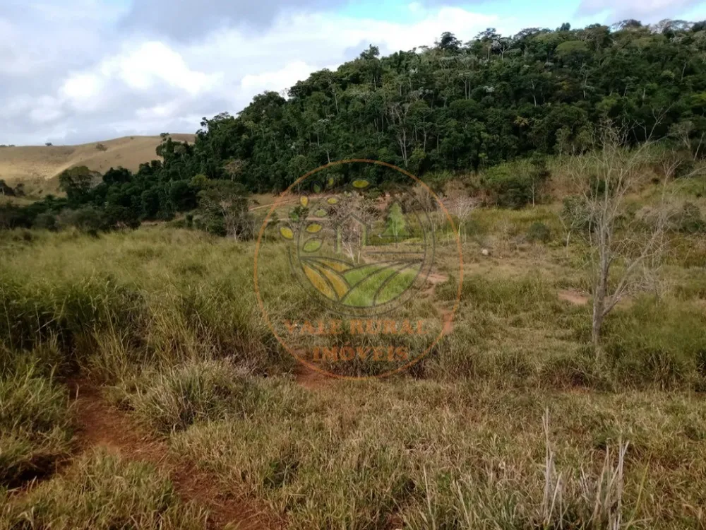 Fazenda - Foto 9
