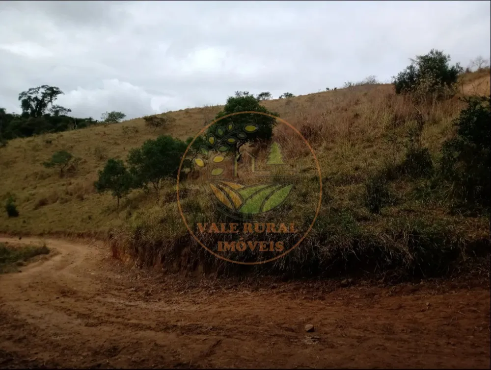 Fazenda - Foto 11