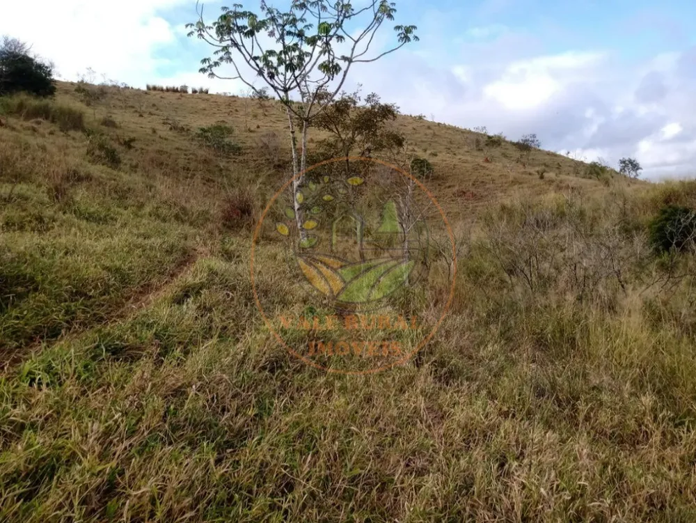 Fazenda - Foto 6
