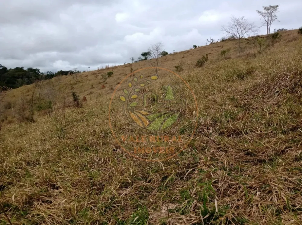 Fazenda - Foto 12