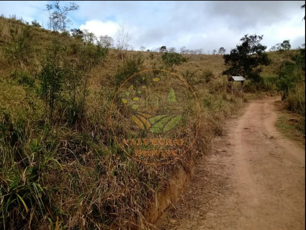 Fazenda - Foto 10
