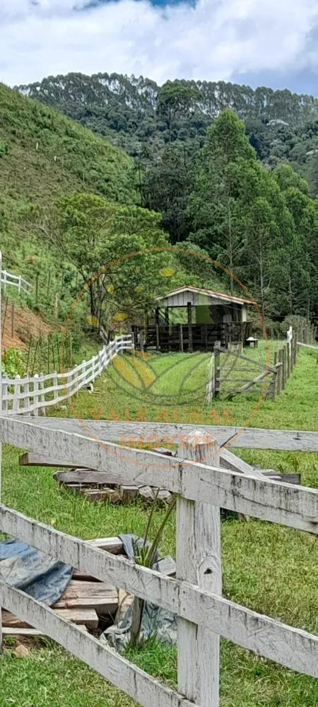 Sítio, 3 quartos - Foto 3