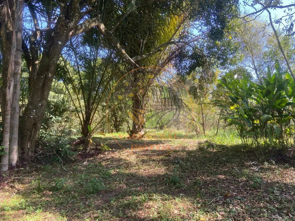Chácara, 4 quartos - Foto 5